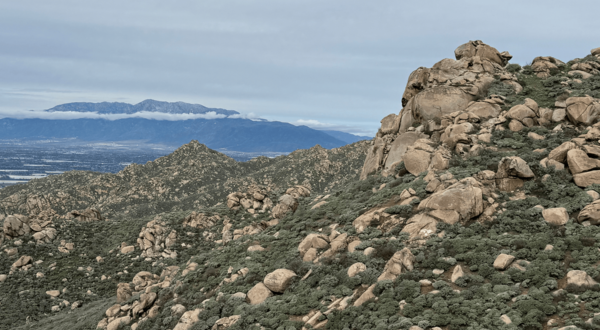 Riverside Box Springs